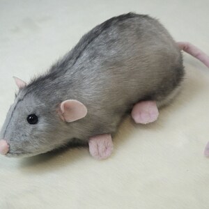 Dumbo Rat Plush, Stuffed Gray Rat, Realistic Animals - Etsy