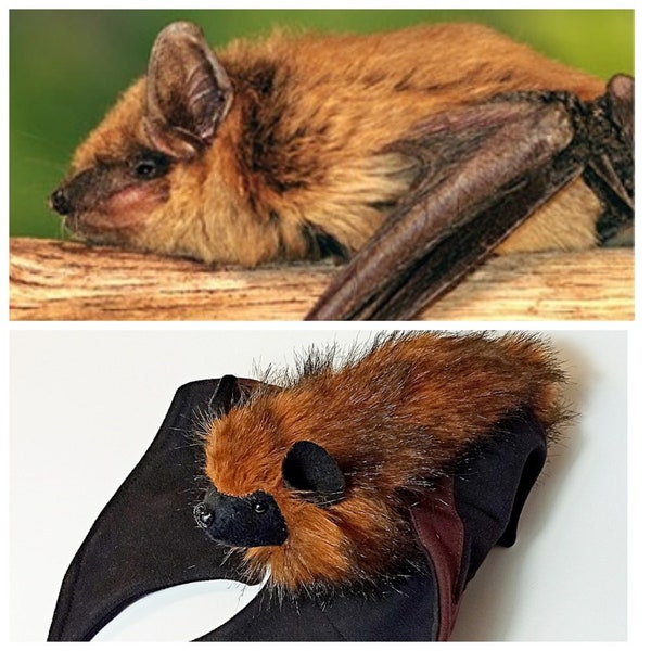 Bat plush, Realistic bat, Big Brown bat, Bat stuffed animal