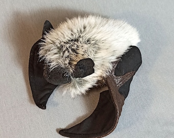 Bat plush, Canyon Bat , Bat lovers,