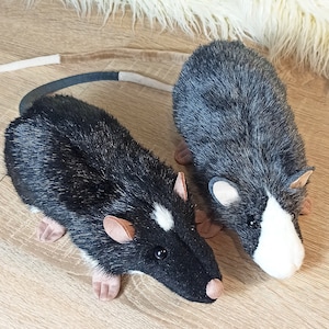 Rat Plush,  American Berkshire Rat, Black Rat