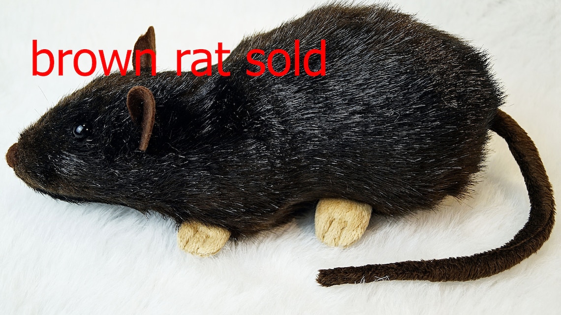 Realistic rat plush Stuffed rat Etsy