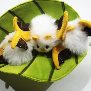 honduran white bat plush