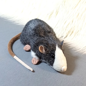 Rat Plush,  Blazed Berkshire Rat