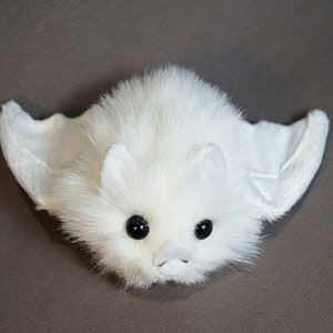 Chauve Souris Chauve Souris Blanche Hondurienne Mignonne Etsy Chauve Souris Chauve Souris Blanche Hondurienne Mignonne Etsy