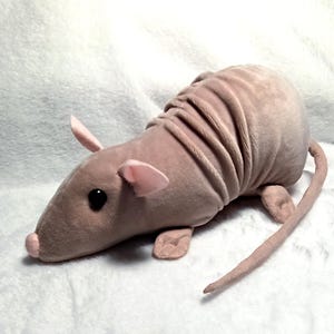 Rat plush, Hairless Rat Pinky, Sphinx rats, Original gift