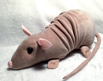 Rat plush, Hairless Rat Pinky, Sphinx rats, Original gift