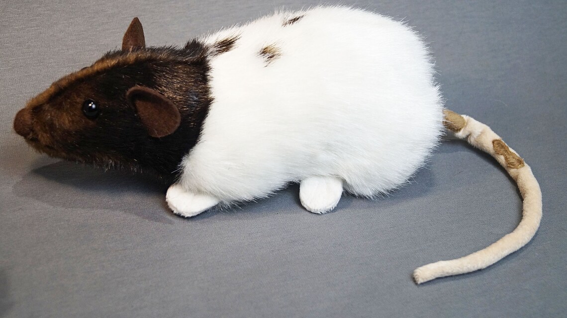 Realistic Rat Plush Stuffed Rat Etsy