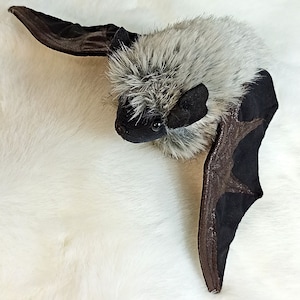 Bat plush, Canyon Bat , Bat lovers, image 4