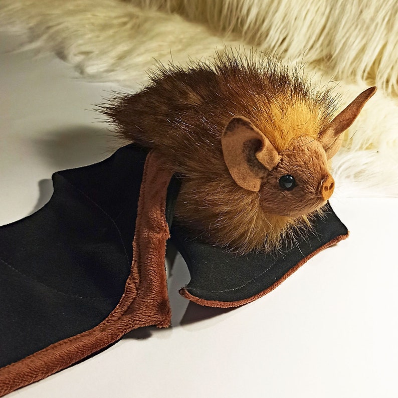 Bat Plush Tricolored Bat - Etsy