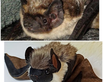 Bat plush, Bat stuffed animal, Realistic bat, Bicolor Kozhan