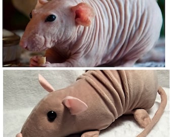 Rat plush, Hairless Rat Pinky, Sphinx rats, Original gift