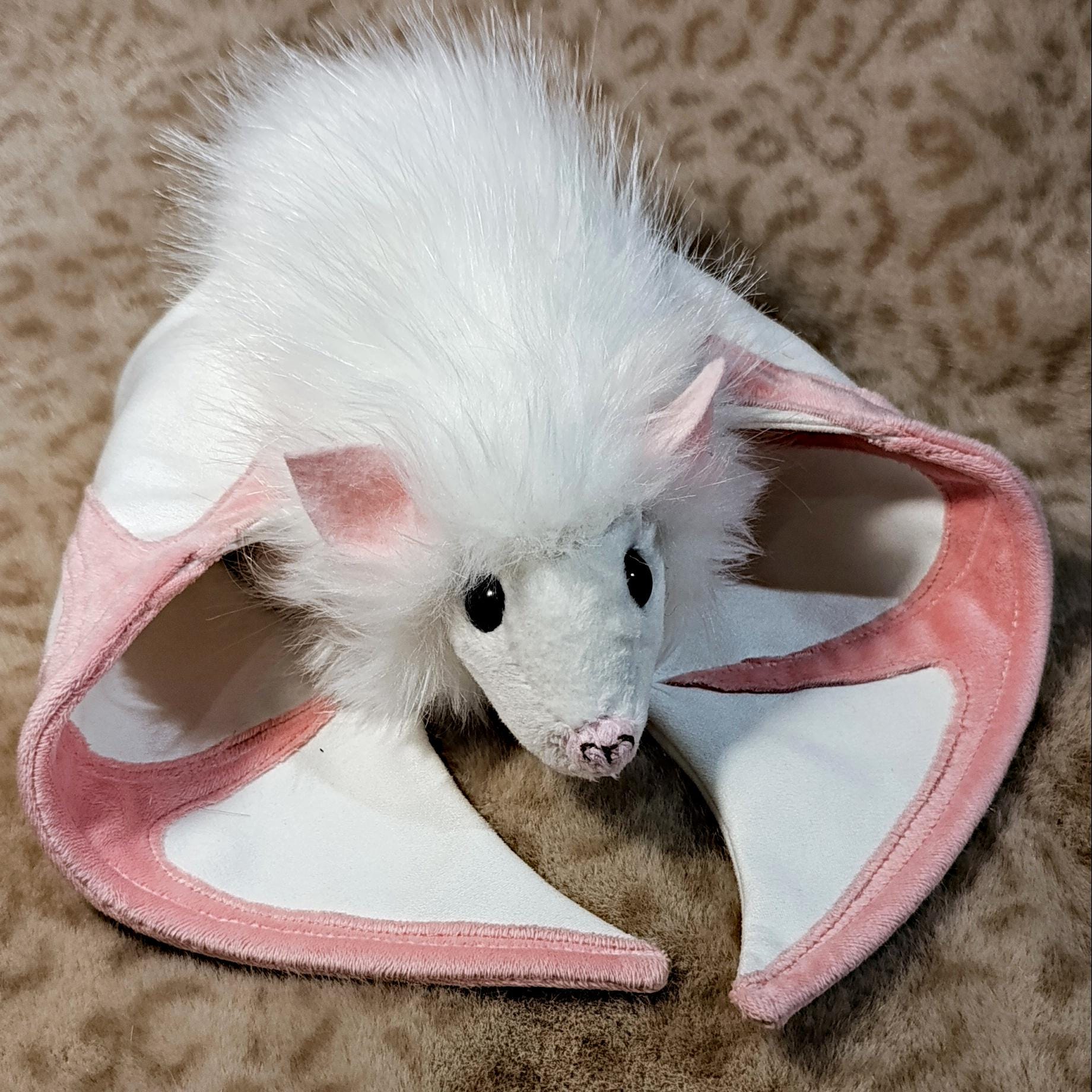 Albino Flying Fox