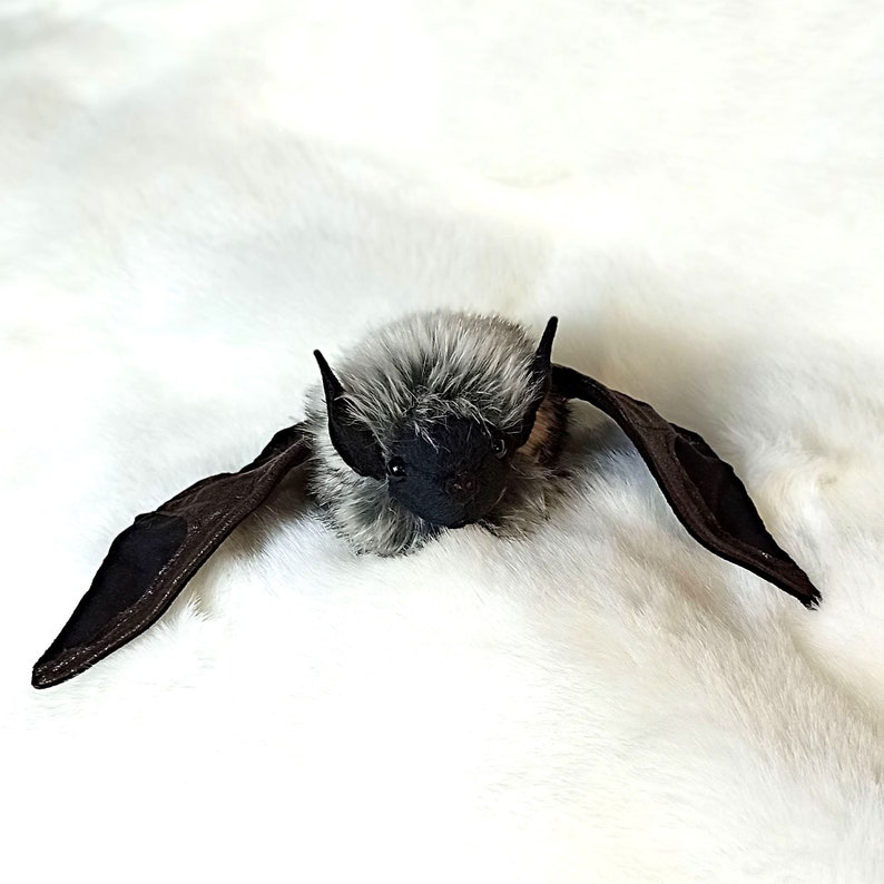 Bat plush, Canyon Bat , Bat lovers, image 8