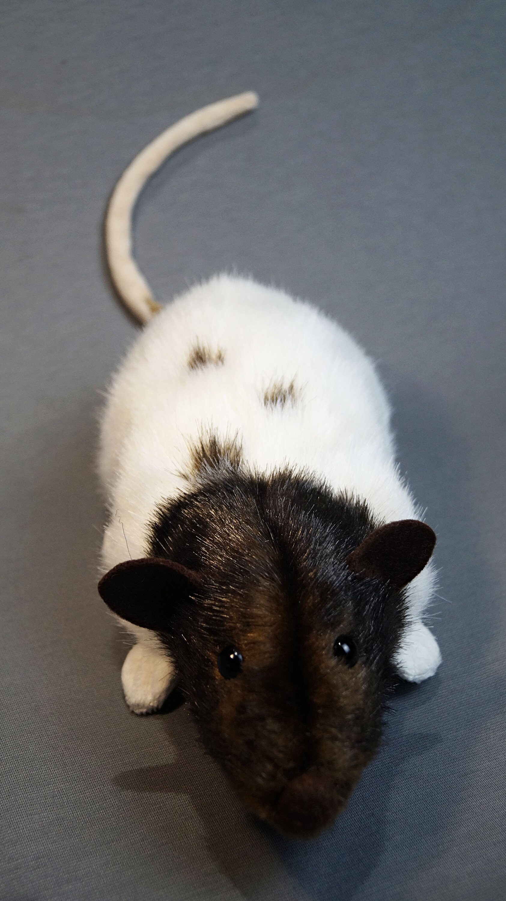 Realistic Rat Plush Stuffed Rat Etsy UK