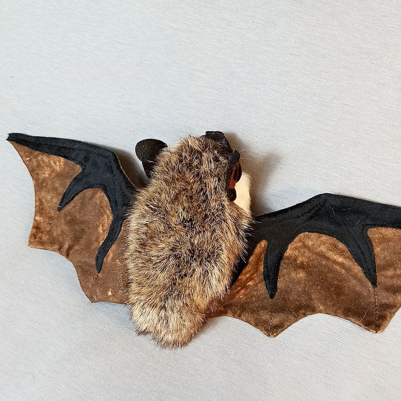 Bat Plush Bat Stuffed Animal Realistic Bat Bicolor Kozhan Etsy