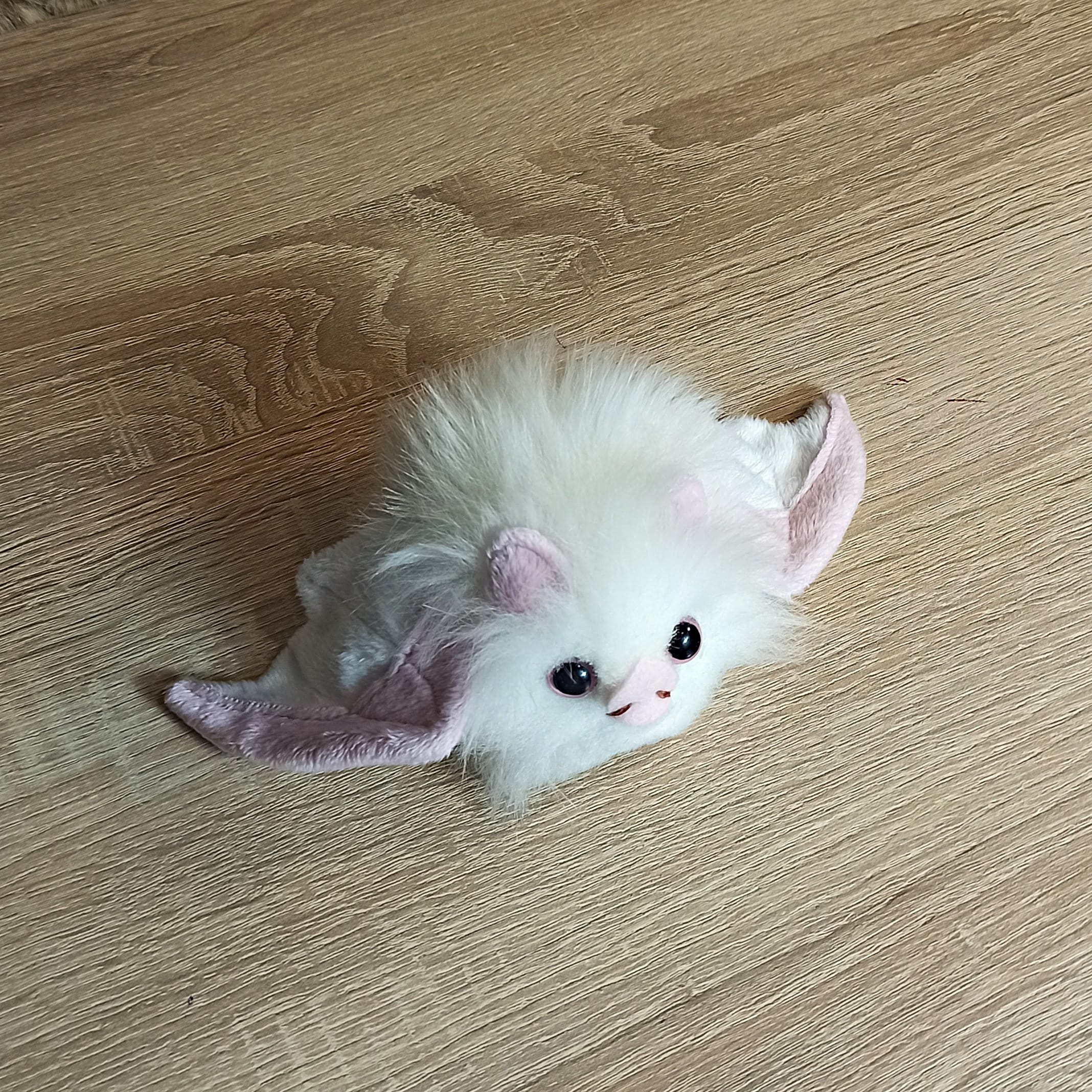 コウモリのぬいぐるみ、かわいいアルビノコウモリ、コウモリの