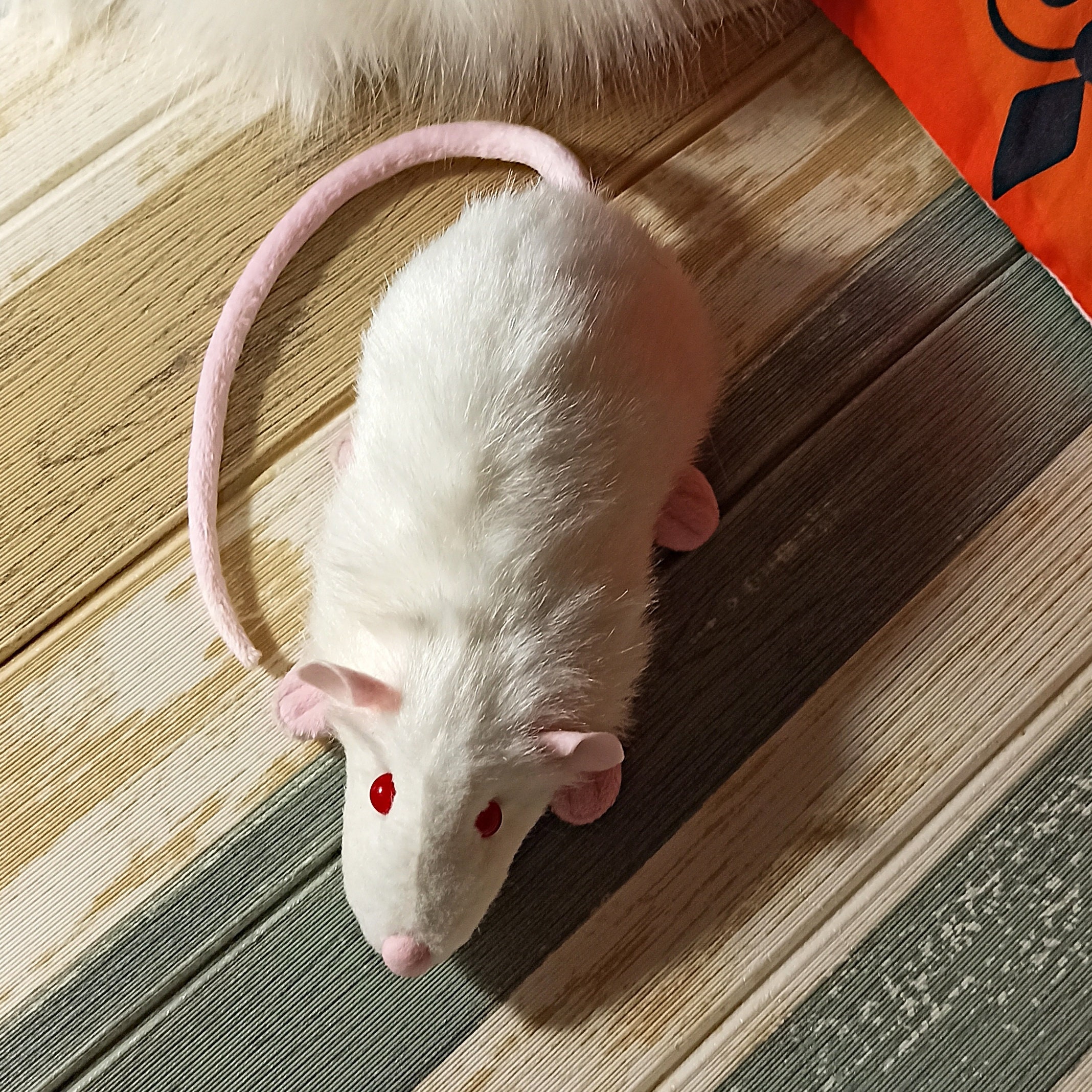 Albino white rat plush, Fur toy, Cute gift