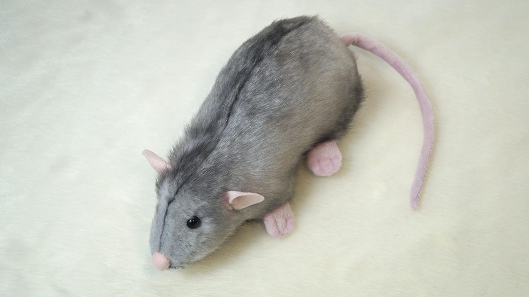 Dumbo Rat Plush, Stuffed Gray Rat, Realistic Animals - Etsy
