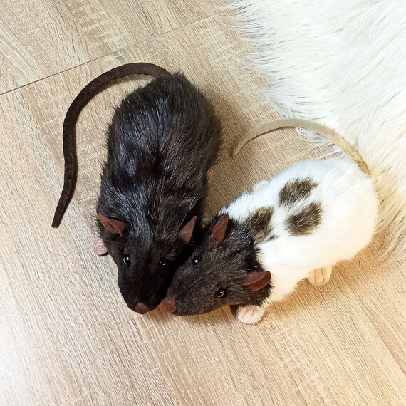 rat plush
