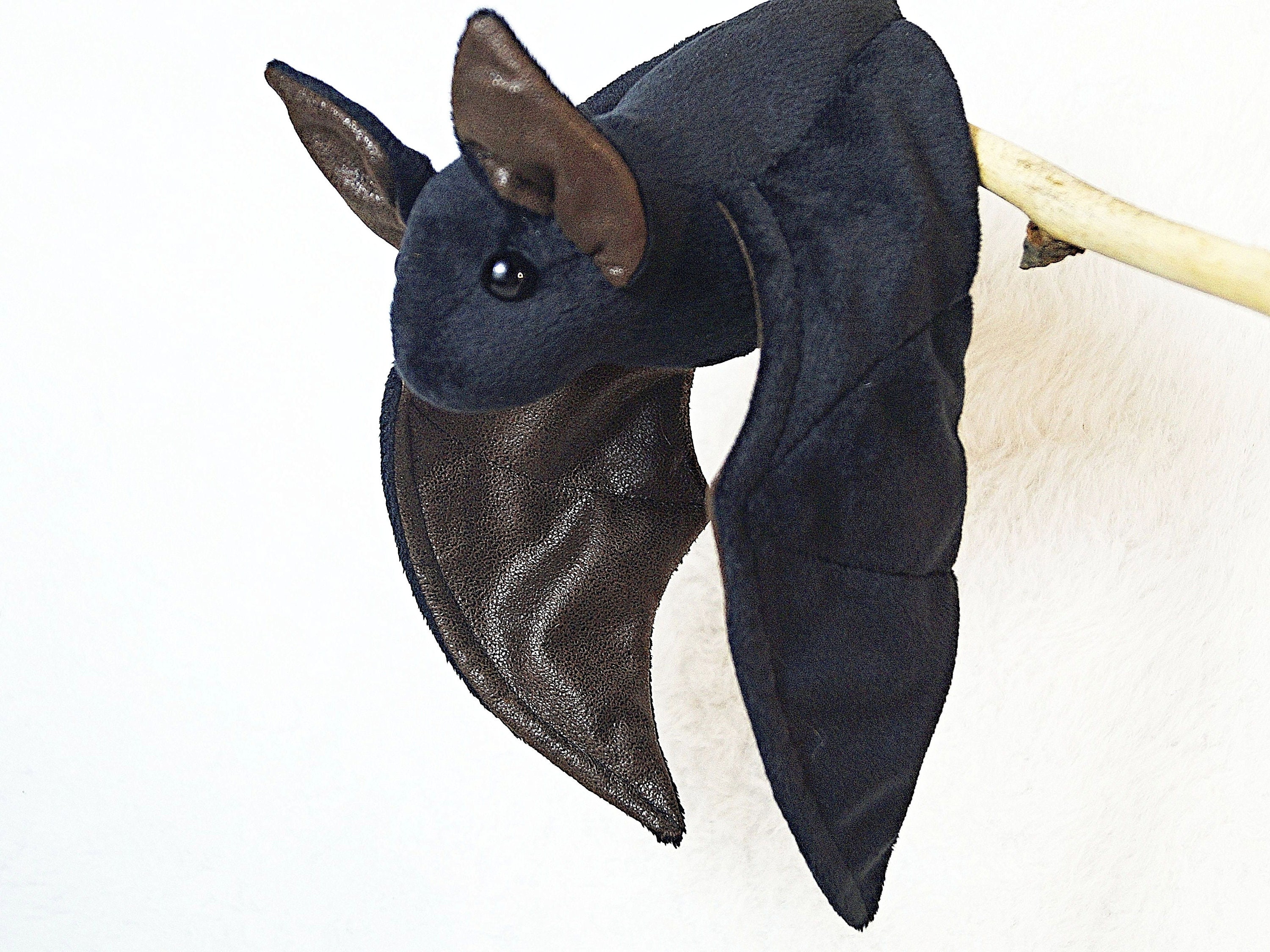 Bat Plush Cute Plush Stuffed Animal Black Bat Etsy Canada