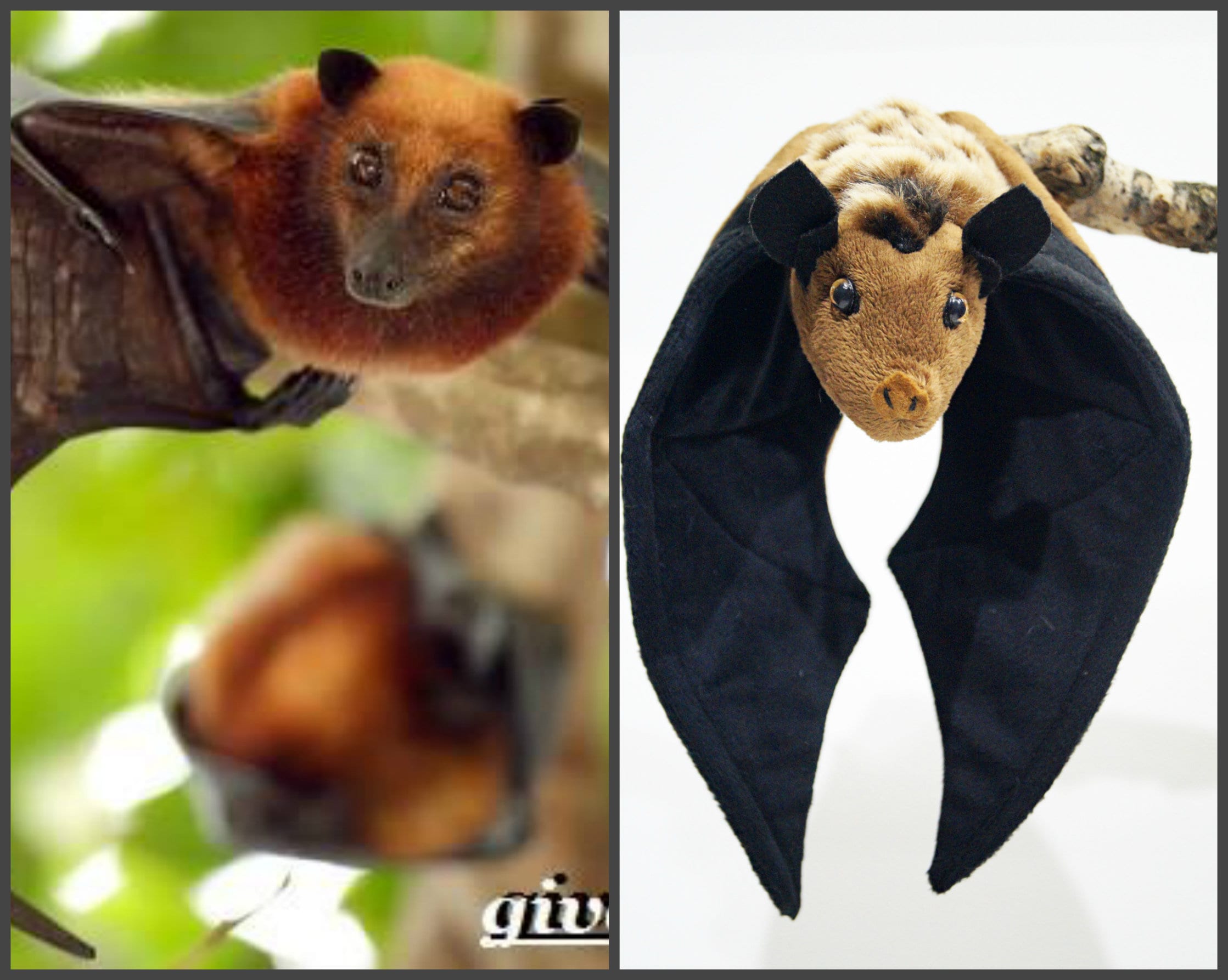 Bat plush Fruit bat Flying fox Cute toys Bat stuffed animal Etsy