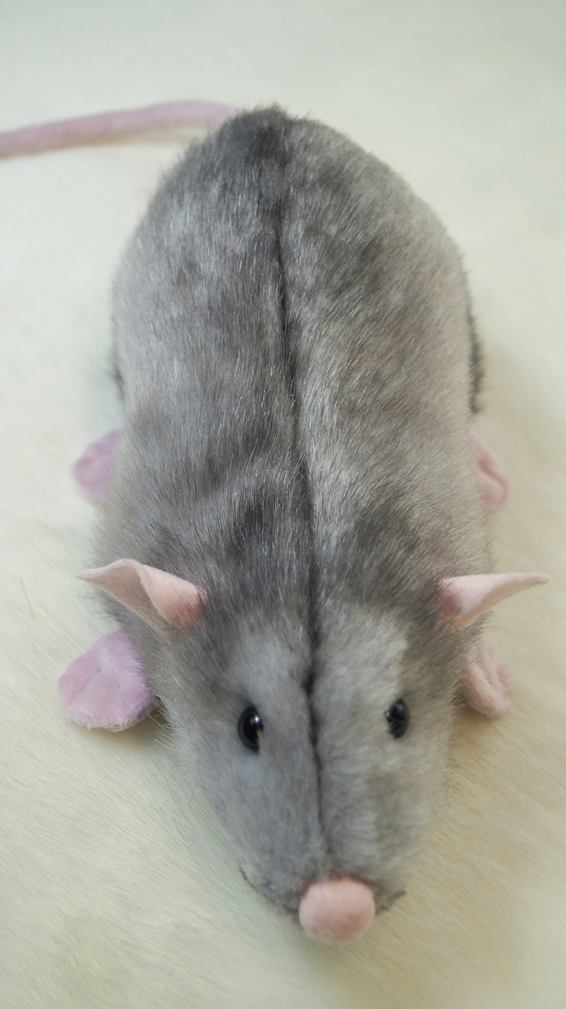 Dumbo Rat Plush Stuffed Gray Rat Realistic animals | Etsy
