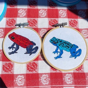 Poison dart frog, amphibian, tropical, animal cross stitch pattern - PDF instant download