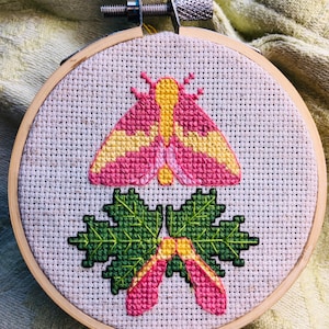 Rosy Maple Moth Modern Cross Stitch Pattern - Instant Download