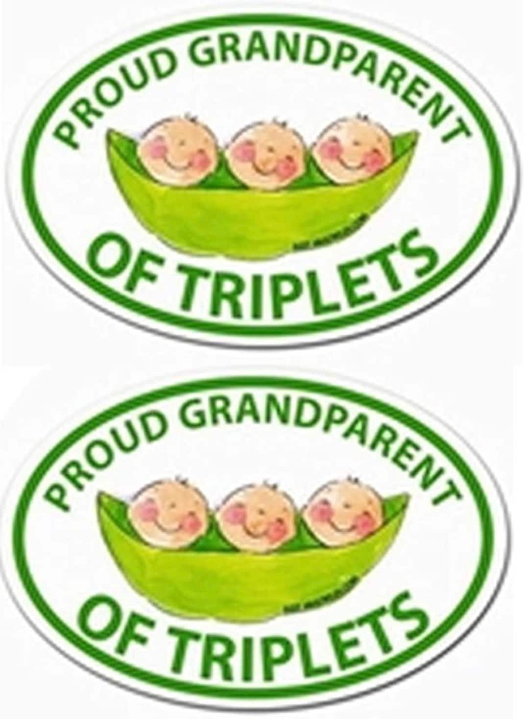 Proud Grandparent of Triplets Triplet Baby Shower Gift