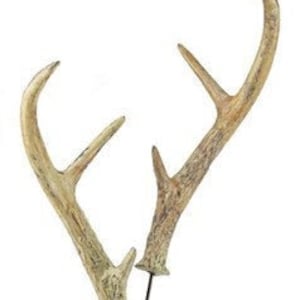May include: Two brown faux deer antlers on wire stems. The antlers are attached to the stems with a brown wire.