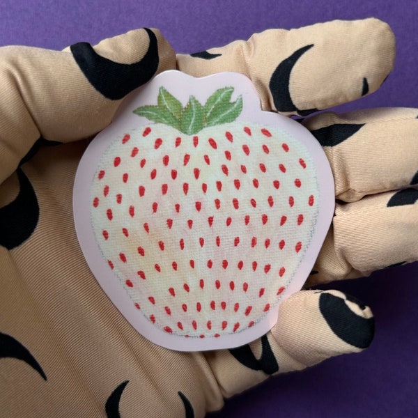 Pineberry Laminated Vinyl Sticker | painting sticker | waterproof sticker | fruit food | pink white strawberry | laptop water bottle decals