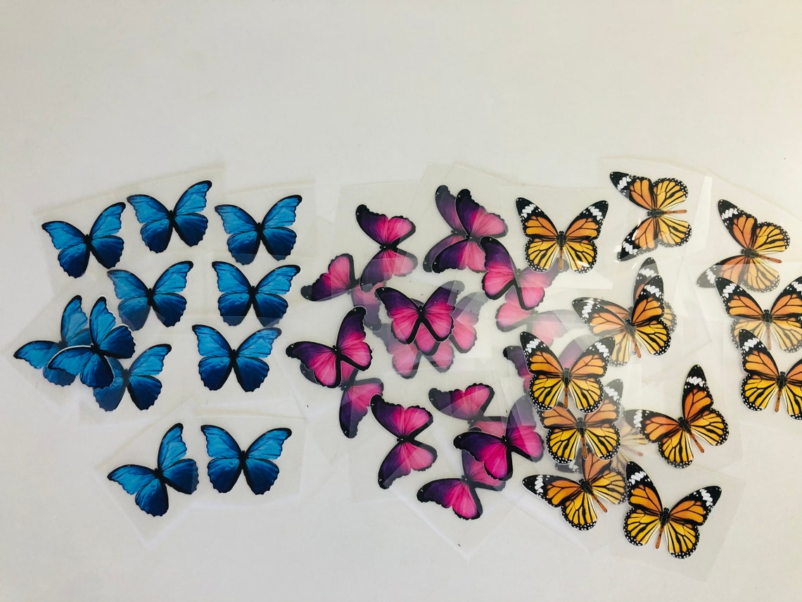 Iron on butterfly Butterfly Heat Transfer Iron On Vinyl Etsy
