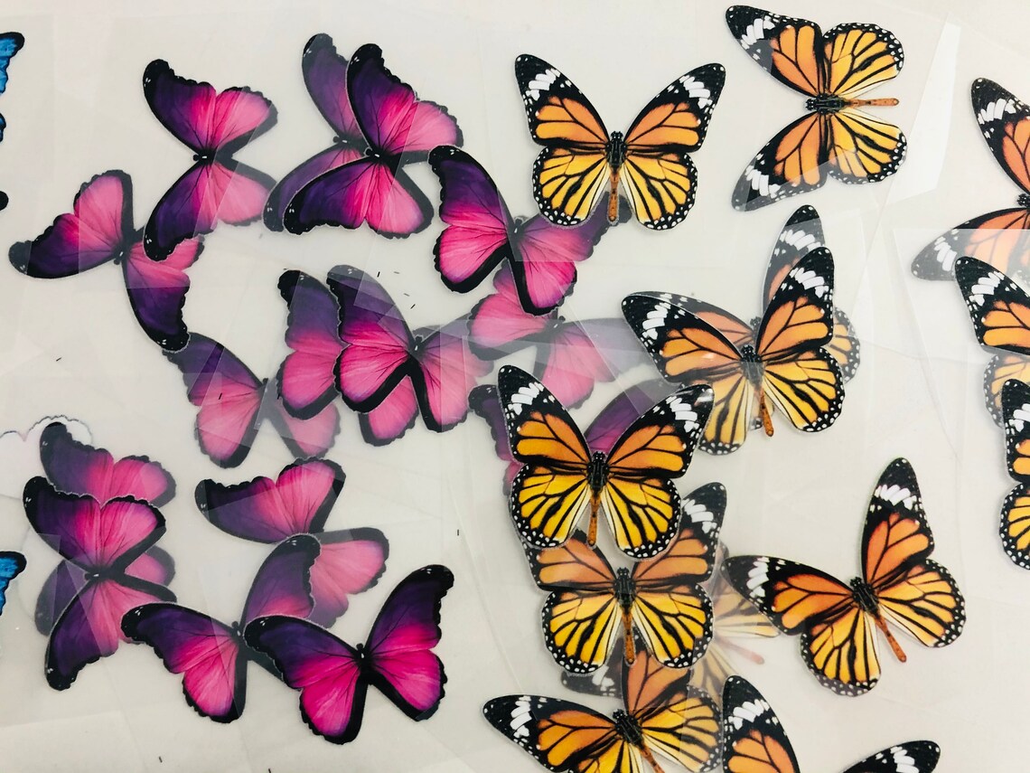 Iron on butterfly Butterfly Heat Transfer Iron On Vinyl Etsy