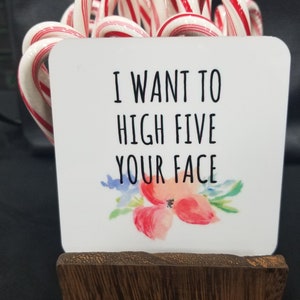 I Want to High Five Your Face Coaster