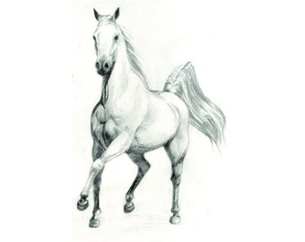 Impresión de 8,5 x 11 pulgadas "Caballo al galope"