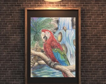 Impresión de cascada de guacamayos de 8,5" x 11"
