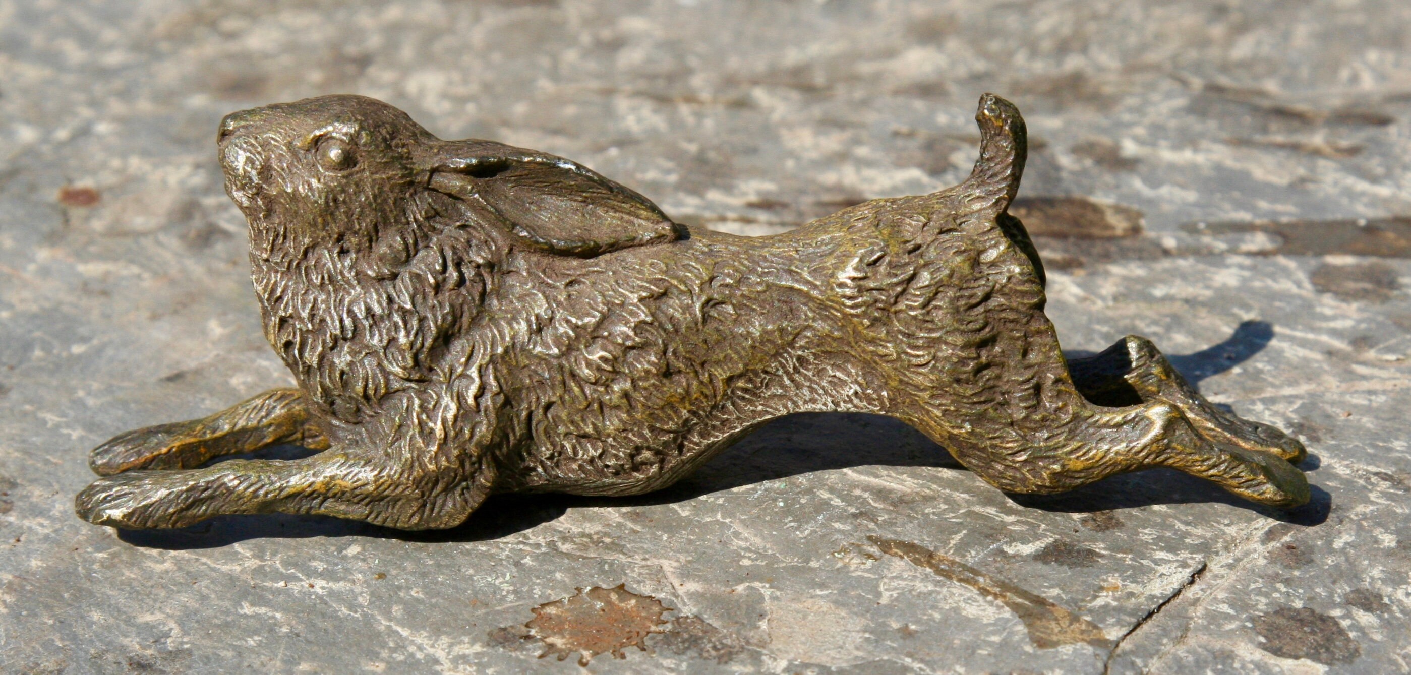 Large Antique Signed Franz Bergman Vienna Cold painted Bronze Etsy