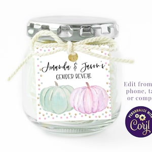 Editable Pumpkin Gender Reveal Favor Tags Blue and Pink Thank You Tags, ID200