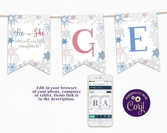 May include: A gender reveal banner with a snowflake theme. The banner has the text "He-or-She what will our little snowflake be?" and the letters "G" and "E" in pink and blue. The banner is decorated with snowflakes in shades of blue and pink.