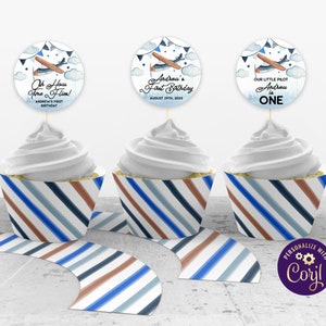 Airplane Birthday Cupcake Toppers and Cupcake Wrappers, Time Flies Toppers, Airplane Cupcakes, Plane Cupcake Topper, Up Up and Away, ID192