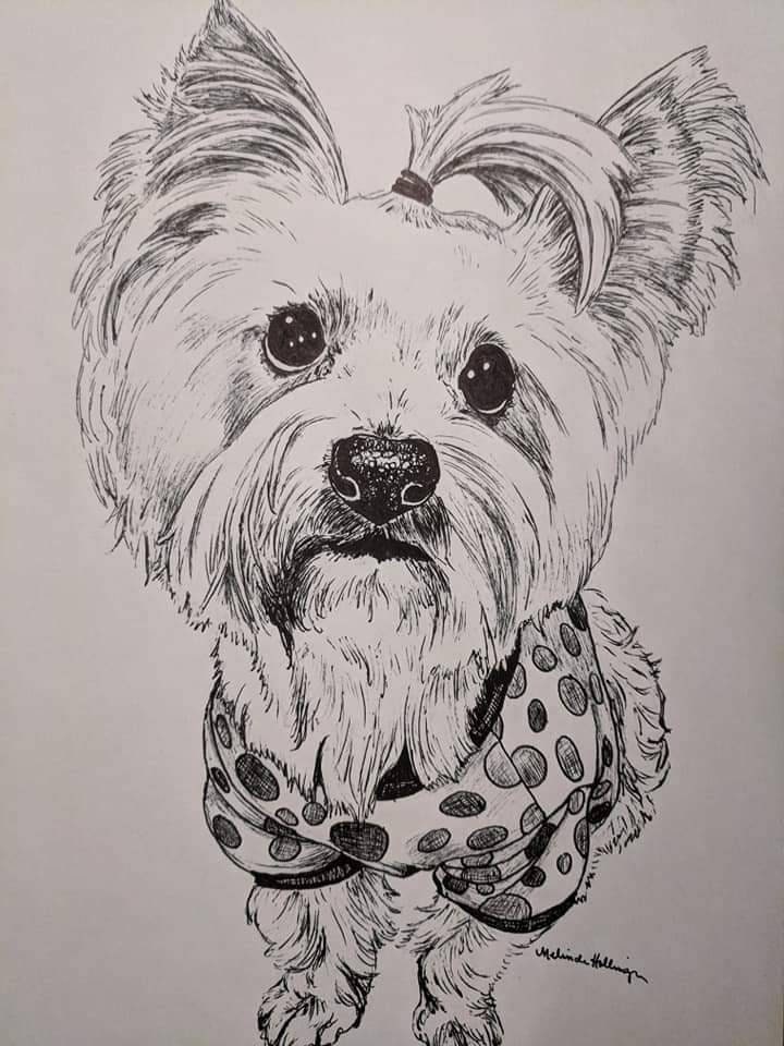Personalized Pen and Ink Pet Portrait, Custom Hand-drawn Animal Art - Etsy