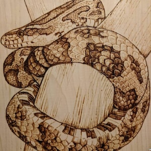 Wood Burned Pet Portraits: Custom wood burned pyrography animal artwork.