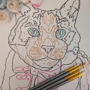 Paint by Number Kits: Have your pet picture hand drawn onto a canvas and numbered, custom paints and brushes included.