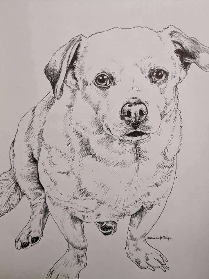 Personalized Pen and Ink Pet Portrait, Custom Hand-drawn Animal Art - Etsy