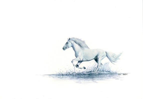 White horse watercolour limited edition print, Very limited print from an original watercolour painting 'Whiter Shade Of Pale', A3 or A4 art