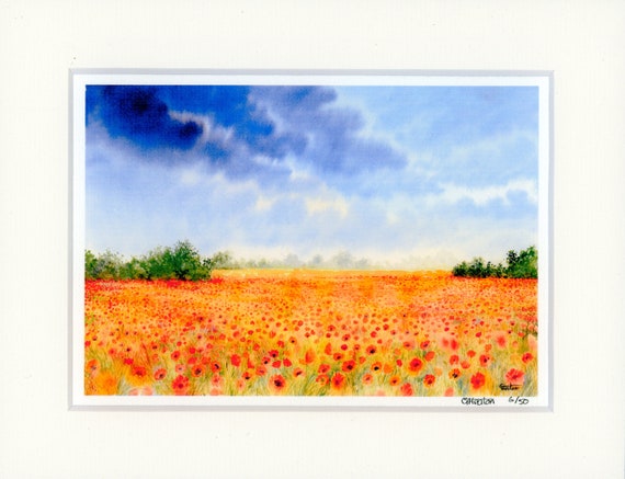 Mounted 9" x 7" Limited Edition Print on watercolour paper, Poppies. Only 50 available worldwide from an original watercolour poppy painting
