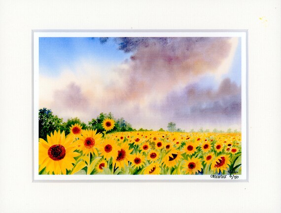 Mounted 9" x 7" Limited Edition Print on watercolour paper, Sunflowers. Only 50 available worldwide from an original watercolour painting