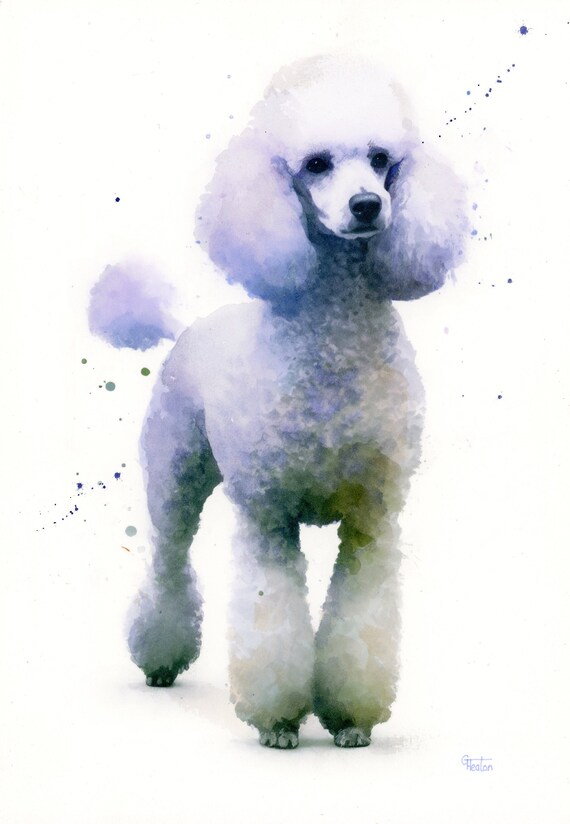 Poodle dog original watercolour, ink and acrylic gouache painting. Poodles in art A4 size, pet and animal art