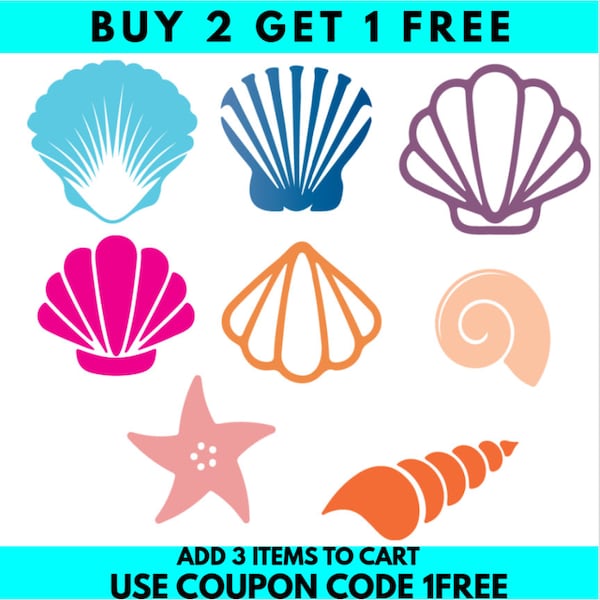 Seashell SVG, Sea Shell SVG, Beach SVG, Summer, Digital Download/Cricut, Silhouette, Glowforge ( svg/png )