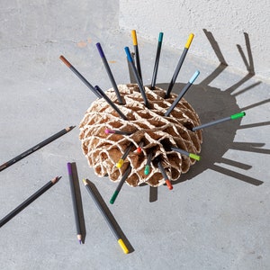 Desk Organizer Fungi Desk Organizer for Unique Home Decor - Fungi Organizer Pen Holder Desk Accessories for Studio and Office Decor